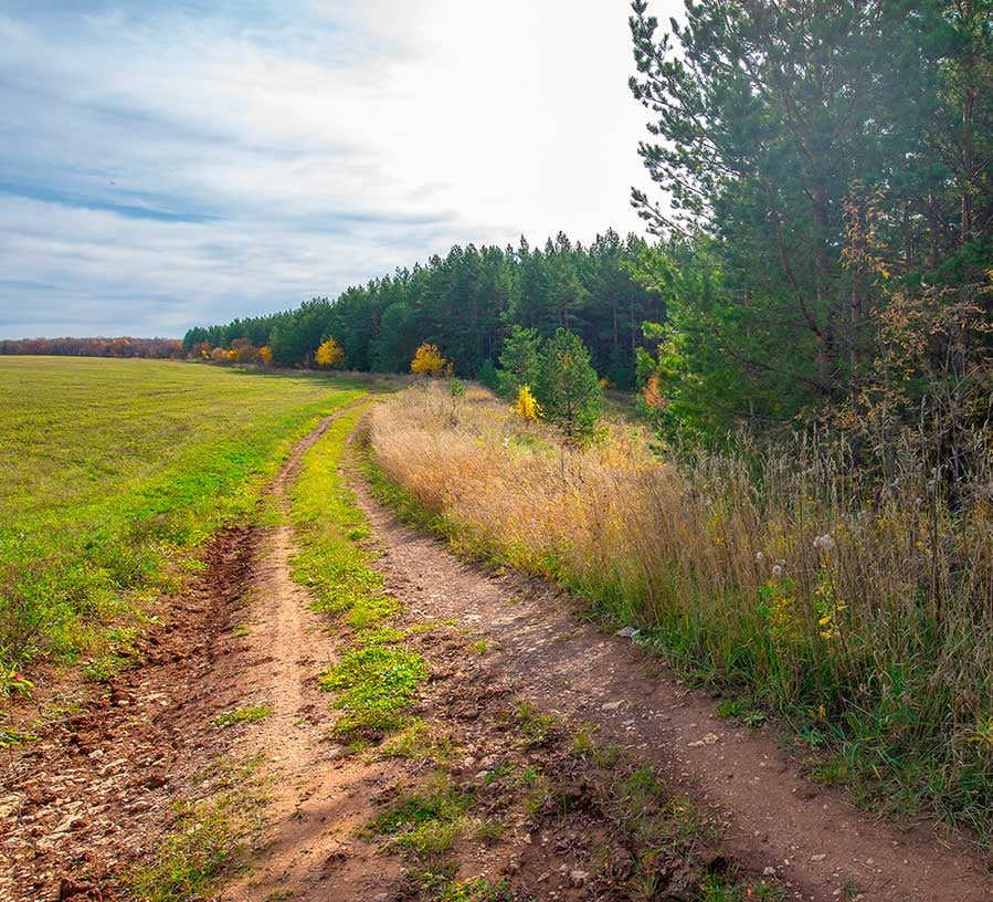 View of buildable land purchased through a land loan with Red Canoe