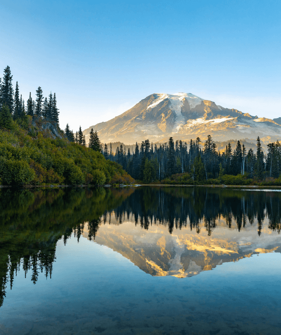 business money market - bullet image (1)